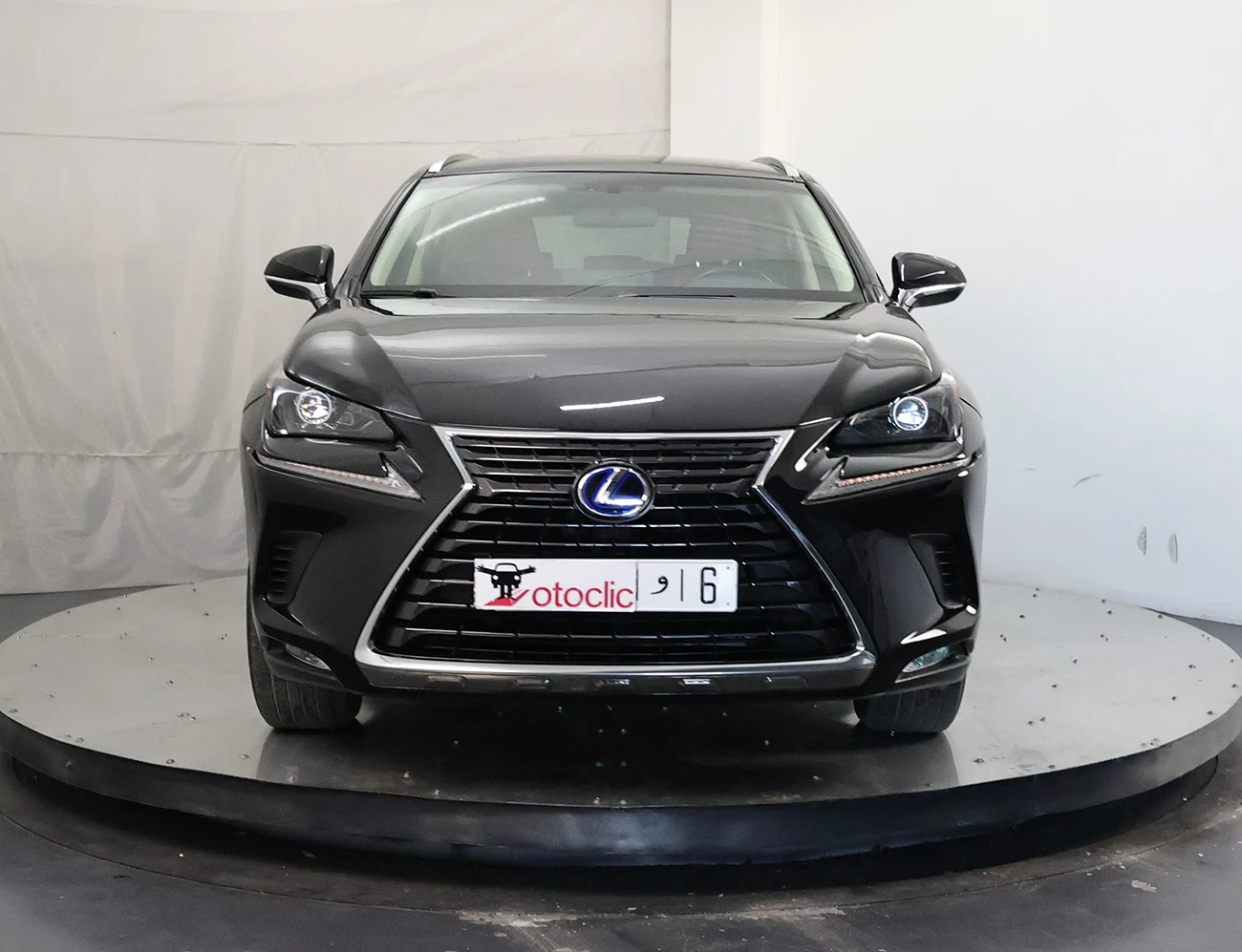 Lexus NX300h Luxury
