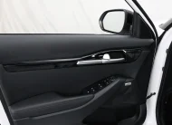 Kia Seltos 1.5 CRDi 115 BOSE